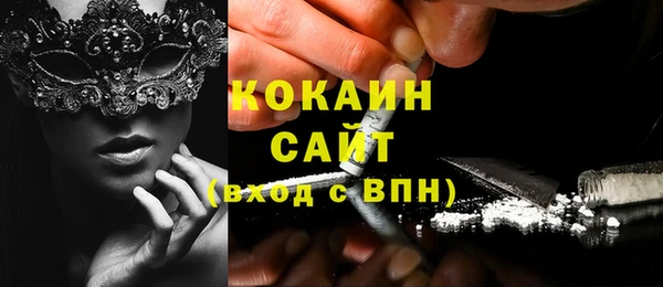 прущие грибы Алзамай