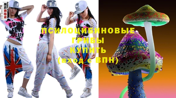 МДПВ Алексеевка