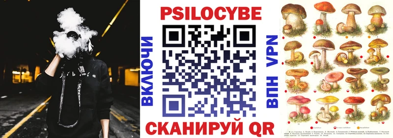 даркнет сайт  Вологда  ОМГ ОМГ ССЫЛКА  Галлюциногенные грибы Cubensis 