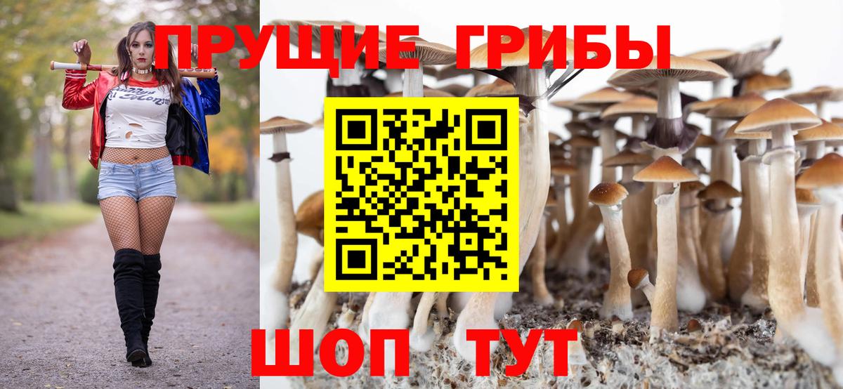 Псилоцибиновые грибы Magic Shrooms  Вход с VPN  Вологда 