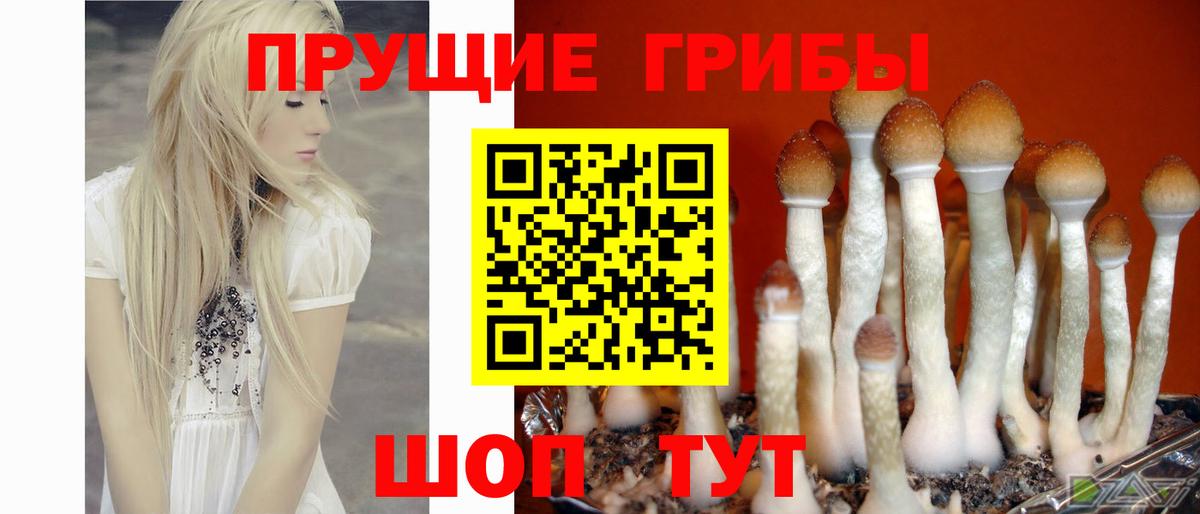 А ПВП  Мяу-Мяу  Магазин наркотиков  Плюхи  Вологда  КОКАИН  НБОМе  Каннабис  Мяу-Мяу  Вход с VPN 
